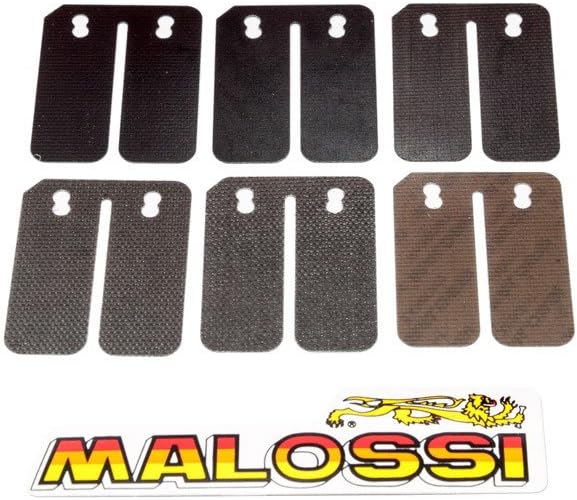 Einlassmembrane MALOSSI Carbon - Peugeot-SPEEDFIGHT 3 50 LC