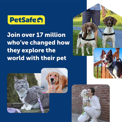 PetSafe 3-in-1-Geschirr, Easy Walk Hundegeschirrs, voll verstellbar, kein Ziehen, Schwarz, Grösse XS