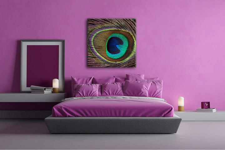 deyoli Bezaubernde Pfauenfeder mit Muster im Format: 70x70 als Leinwandbild, Motiv fertig gerahmt au