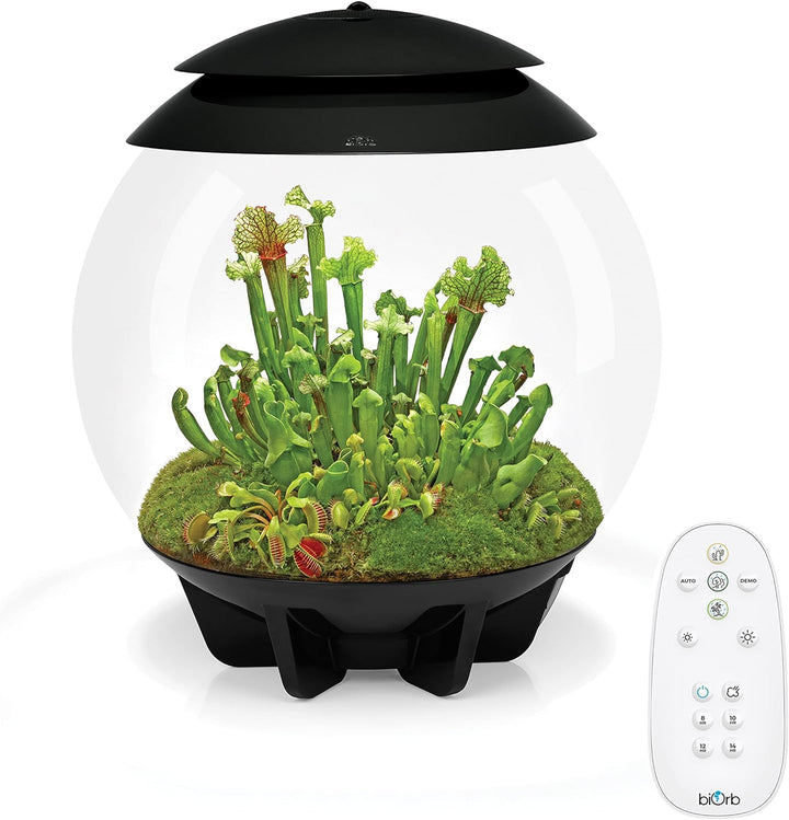 biOrb AIR 30 schwarz - Terrarium mit LED-Beleuchtung / Acryl-Becken zur Pflanzenpflege / für empfind