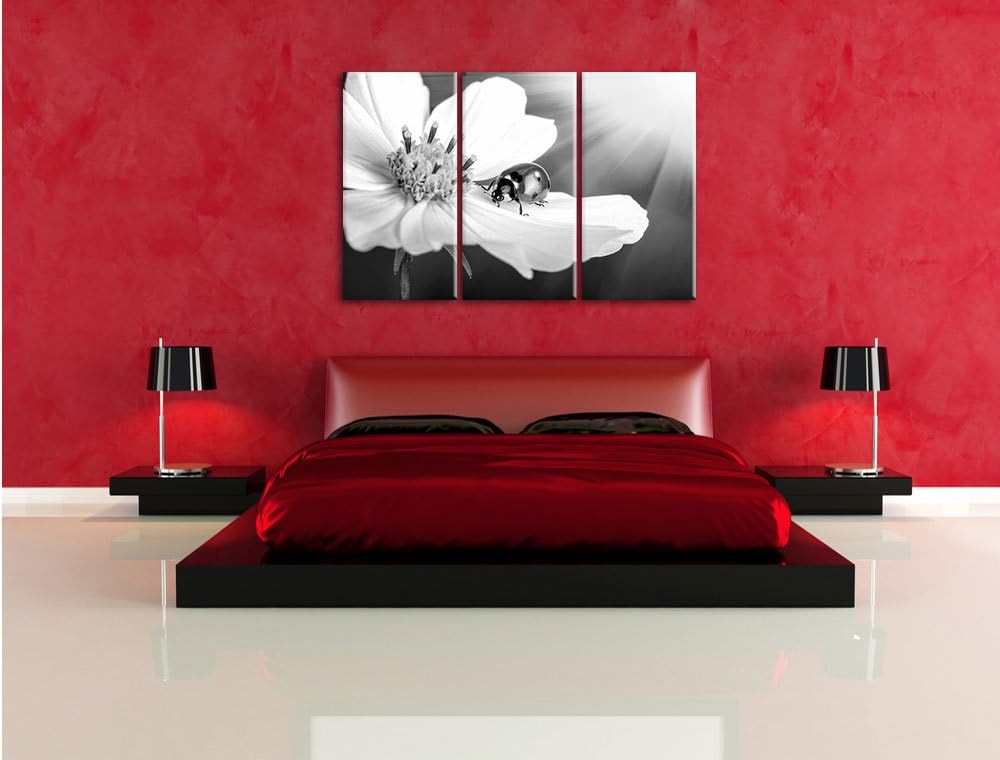 Pixxprint Marienkäfer auf Einer Blume / 3-Teilig/Gesamtmass 120cm Leinwandbild bespannt auf Holzrahm