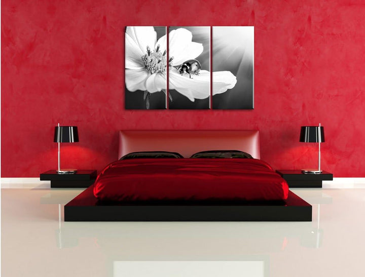 Pixxprint Marienkäfer auf Einer Blume / 3-Teilig/Gesamtmass 120cm Leinwandbild bespannt auf Holzrahm