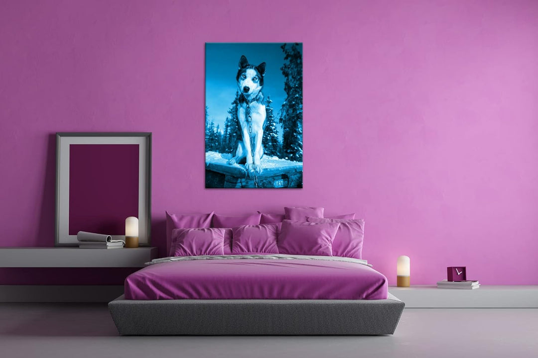 deyoli knuffiger Husky Format 80x60 Effekt: Monocrome Blau als Leinwandbild, Motiv fertig gerahmt au