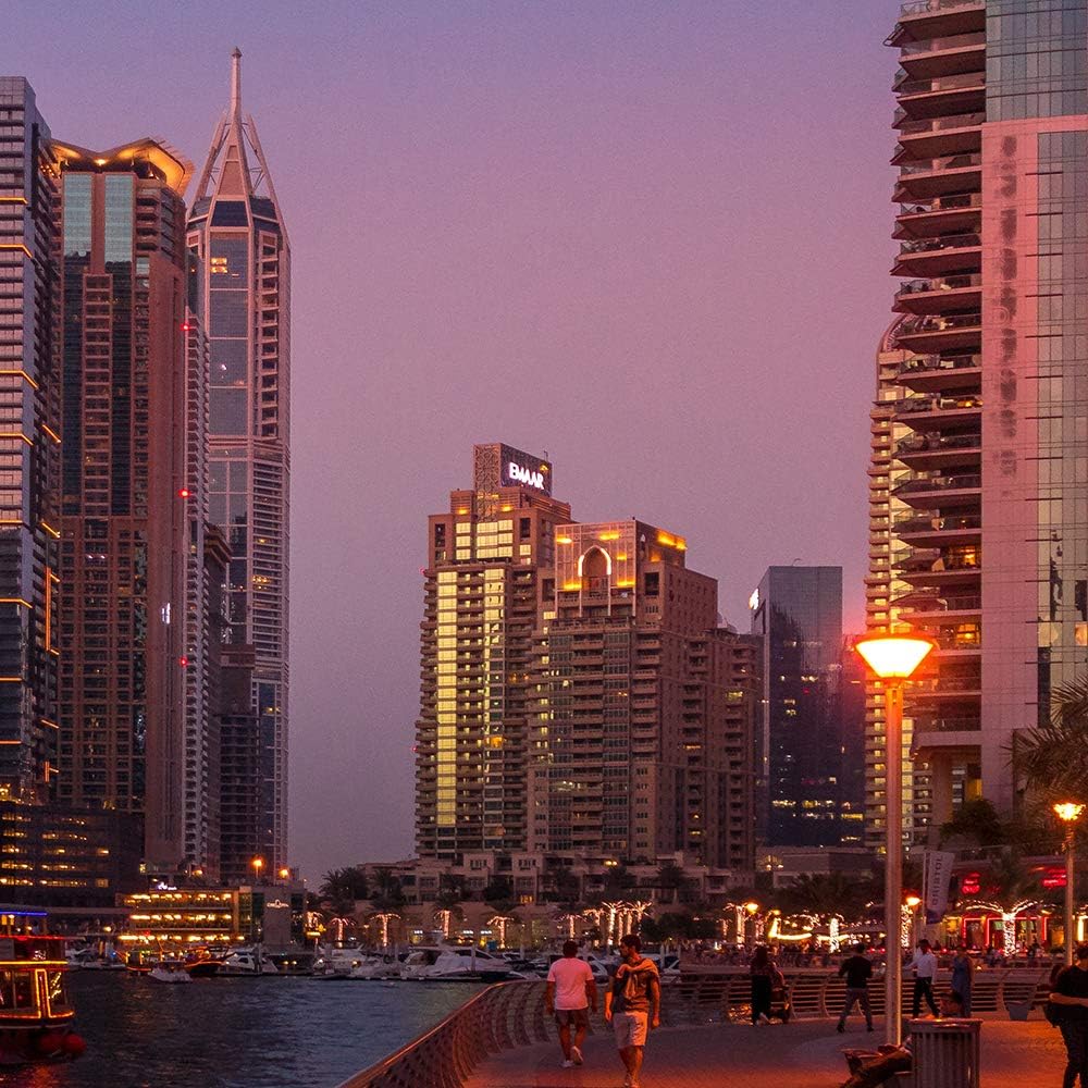 Feeby Deco Panel 5 Teilig Stadt City Bilder Modern Architektur Palme rot 200x100 cm Deco panel 200x1