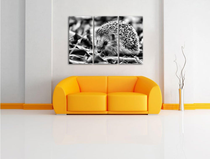 Pixxprint Kleiner Igel als Leinwandbild/Grösse: 3 Teilig (120x80 cm) cm/Wandbild/Kunstdruck/fertig b