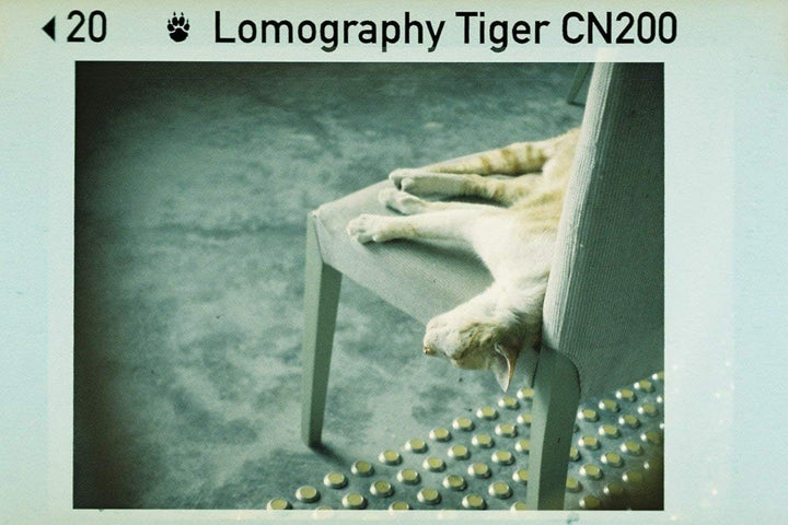 Lomography f110c3 Color Tiger 110 3er-Pack (Farbfilm)