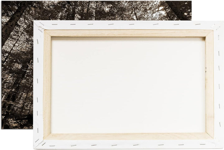 deyoli Wald voller Bäume Format: 80x60 als Leinwand, Effekt: Sepia, Motiv fertig gerahmt auf Echthol