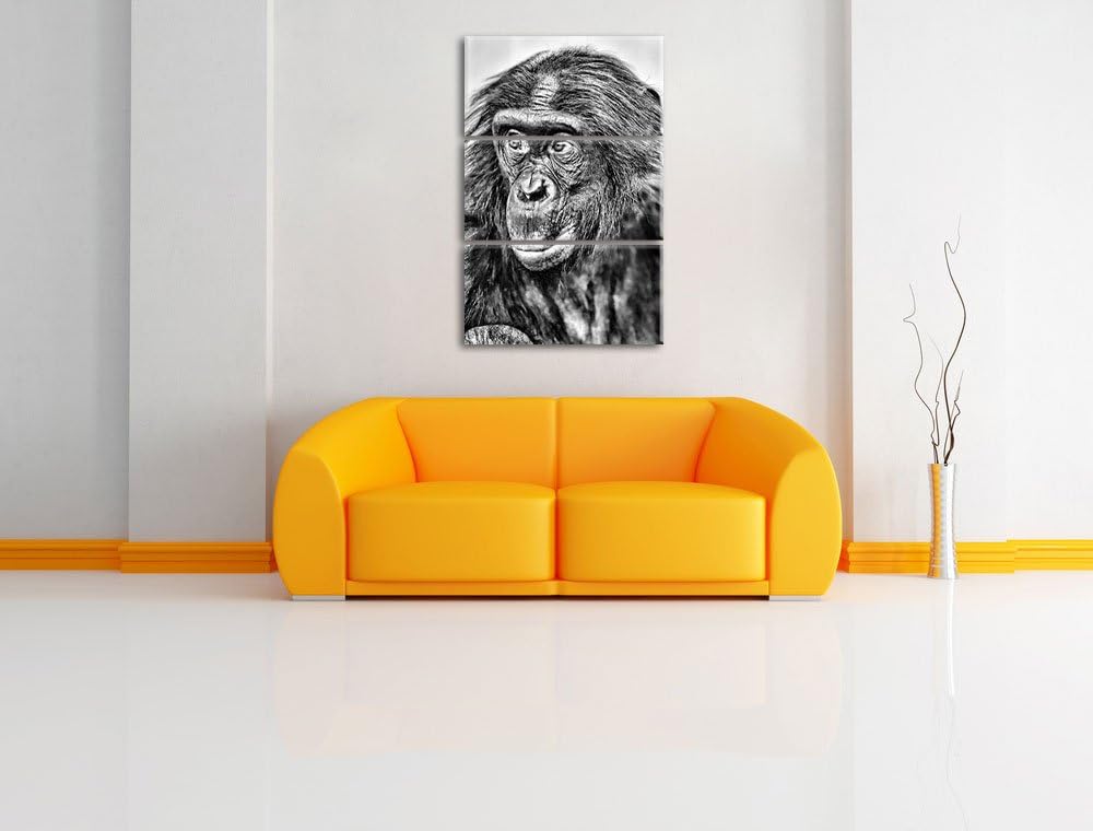Pixxprint scheuer junger Gorilla als Leinwandbild/Grösse: 3 Teilig (120x80) cm/Wandbild/Kunstdruck/f