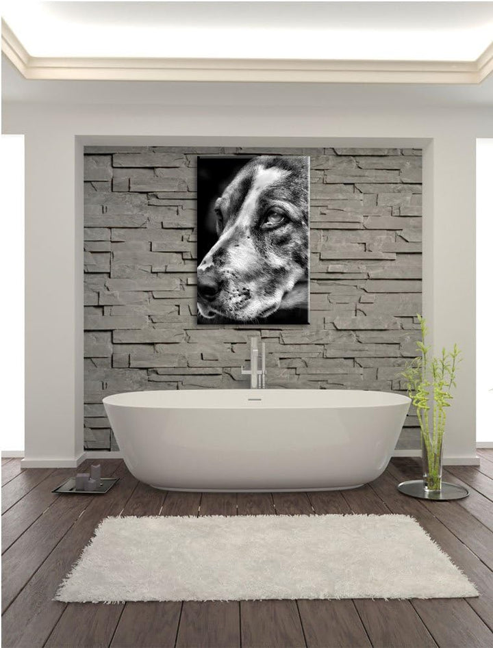 Pixxprint hübscher Hund im Seitenprofil als Leinwandbild | Grösse: 100x70 | Wandbild| Kunstdruck | f