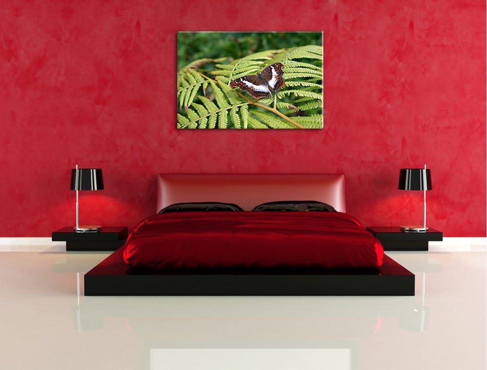zarter Schmetterling auf Farnblatt auf Leinwand, XXL riesige Bilder fertig gerahmt mit Keilrahmen, K
