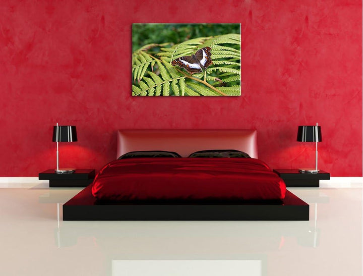 zarter Schmetterling auf Farnblatt auf Leinwand, XXL riesige Bilder fertig gerahmt mit Keilrahmen, K
