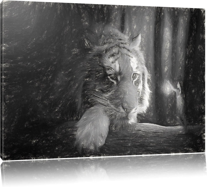 Pixxprint Eine Frau und EIN Riesen-Tiger / 100x70cm Leinwandbild bespannt auf Holzrahmen/Wandbild Ku