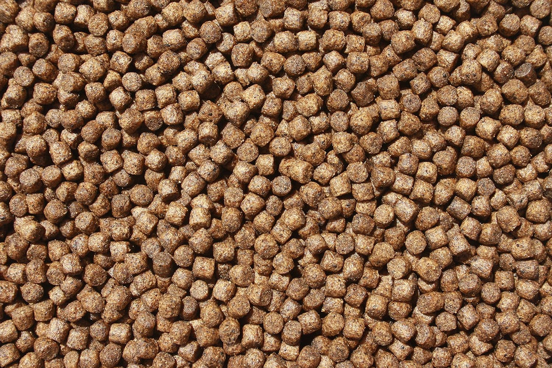 Koifutter, Wachstumsfutter Koi, Farbfutter für Koi, Sommerfutter für Koi jeden Alters mit Spirulina