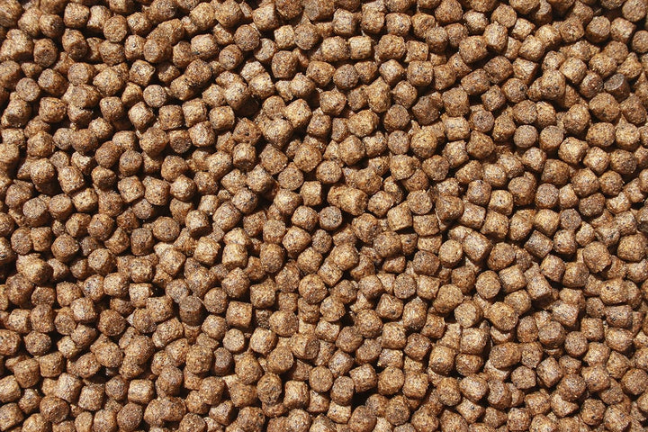 Koifutter, Wachstumsfutter Koi, Farbfutter für Koi, Sommerfutter für Koi jeden Alters mit Spirulina