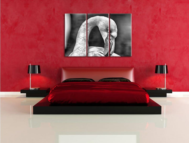 Pixxprint Flamingo beim Putzen als Leinwandbild/Grösse: 3 Teilig (120x80) cm/Wandbild/Kunstdruck/fer