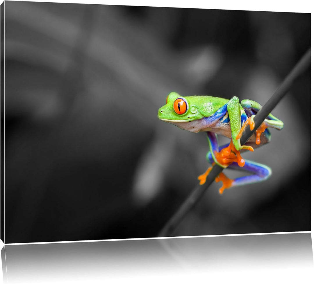 kleiner Frosch auf Zweig schwarz/weiss Format: 100x70 auf Leinwand, XXL riesige Bilder fertig gerahm