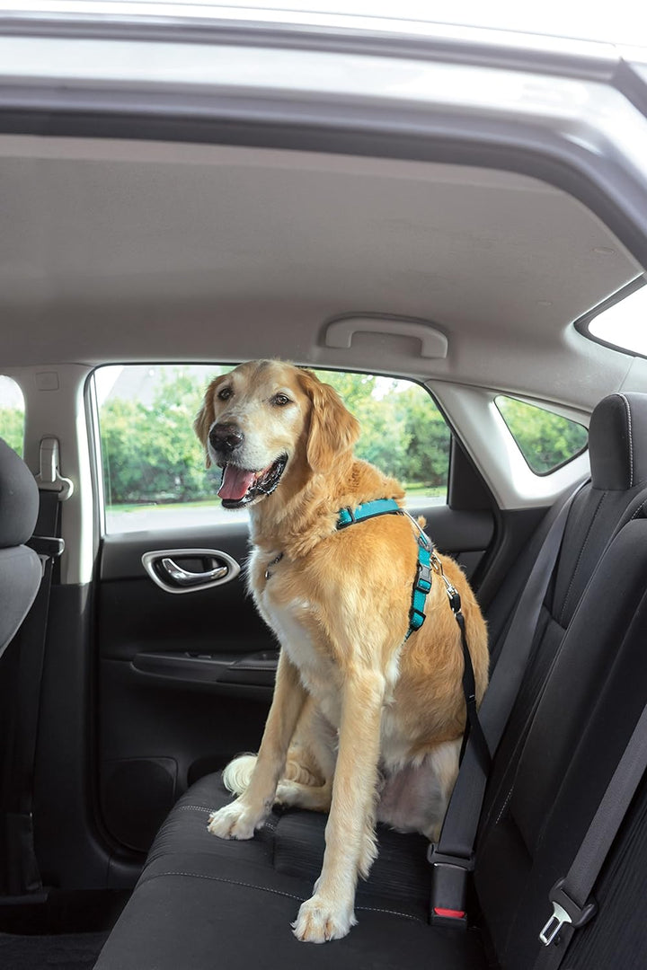 PetSafe 3-in-1 Hundegeschirr, Anti-Zieh, Hundegeschirr für Autogurt, Hundegeschirr Auto, Anti-Zug Hu