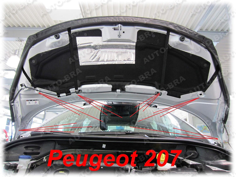 AB-00847 CARBON OPTIK Auto Bra kompatibel mit Peugeot 207 Bj. 2007-2015 Haubenbra Steinschlagschutz