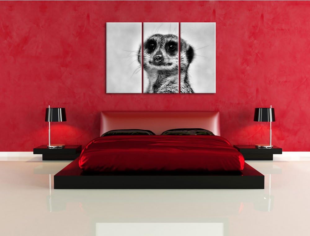 Pixxprint kleines frechen Erdmännchen als Leinwandbild | Grösse: 3 Teilig (120x80) | Wandbild| Kunst