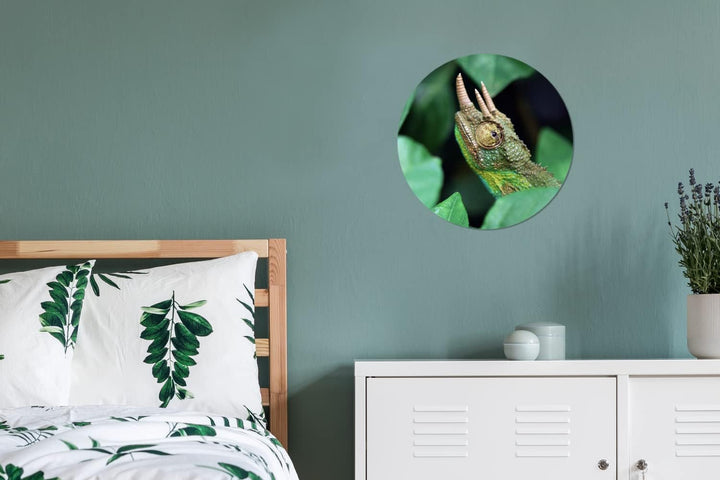MuchoWow Wandbild Rund Wanddeko Deko Wohnzimmer Bilder 30x30 cm Verstecktes Chamäleon zwischen den B