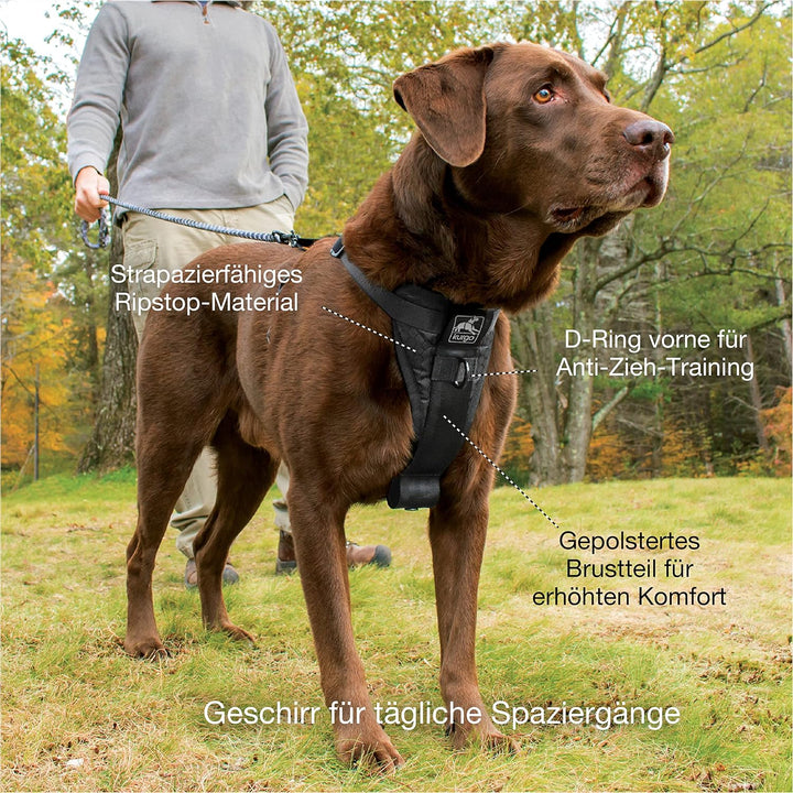 Kurgo Tru-Fit Smart Hundegeschirr, Mit gepolstertem Brustteil und D-Ring, Inklusive Autosicherheitsg