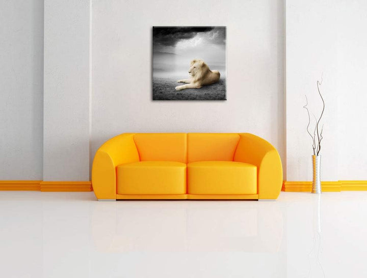 Pixxprint stolzer Löwe in Steppe als Leinwandbild | Grösse: 70x70 cm | Wandbild| Kunstdruck | fertig