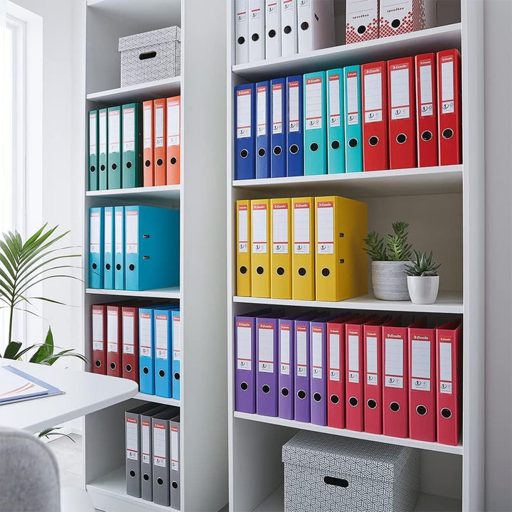 Esselte Plastik-Ordner (zur Archivierung, Plastik, A4, 7,5 cm Rückenbreite, No.1) orange, 10 Stück B