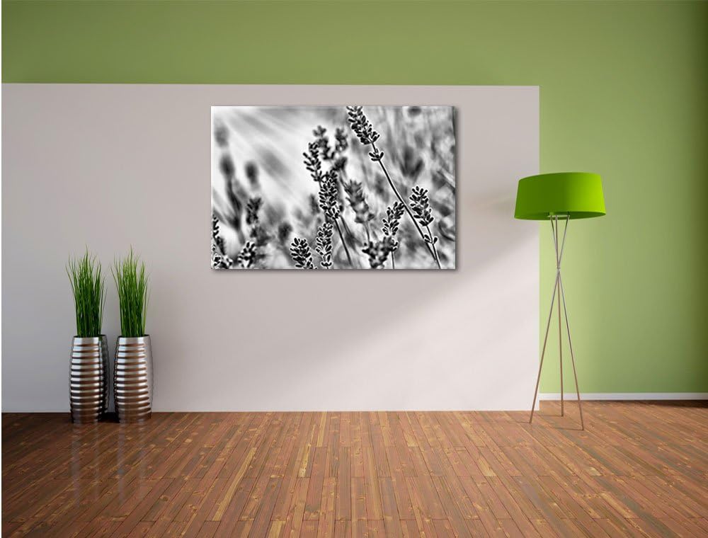 Pixxprint Eleganter Lavendel / 100x70cm Leinwandbild bespannt auf Holzrahmen/Wandbild Kunstdruck Dek