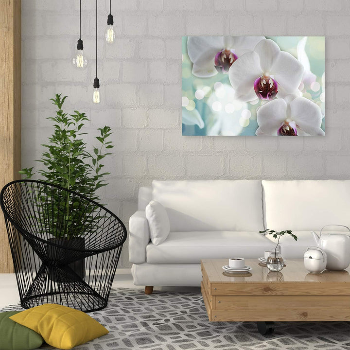 Feeby Bild auf Leinwand Natur Kunstdruck modern Orchideen Weiss 80x60 cm Leinwandbild 80x60 cm Weiss