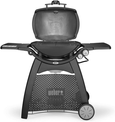 Onlyfire Grillrost Gusseisen für Weber Q300, Q320, Q3000, Q3100, Q3200 Serie Gas Grill,BBQ Ersatz fü