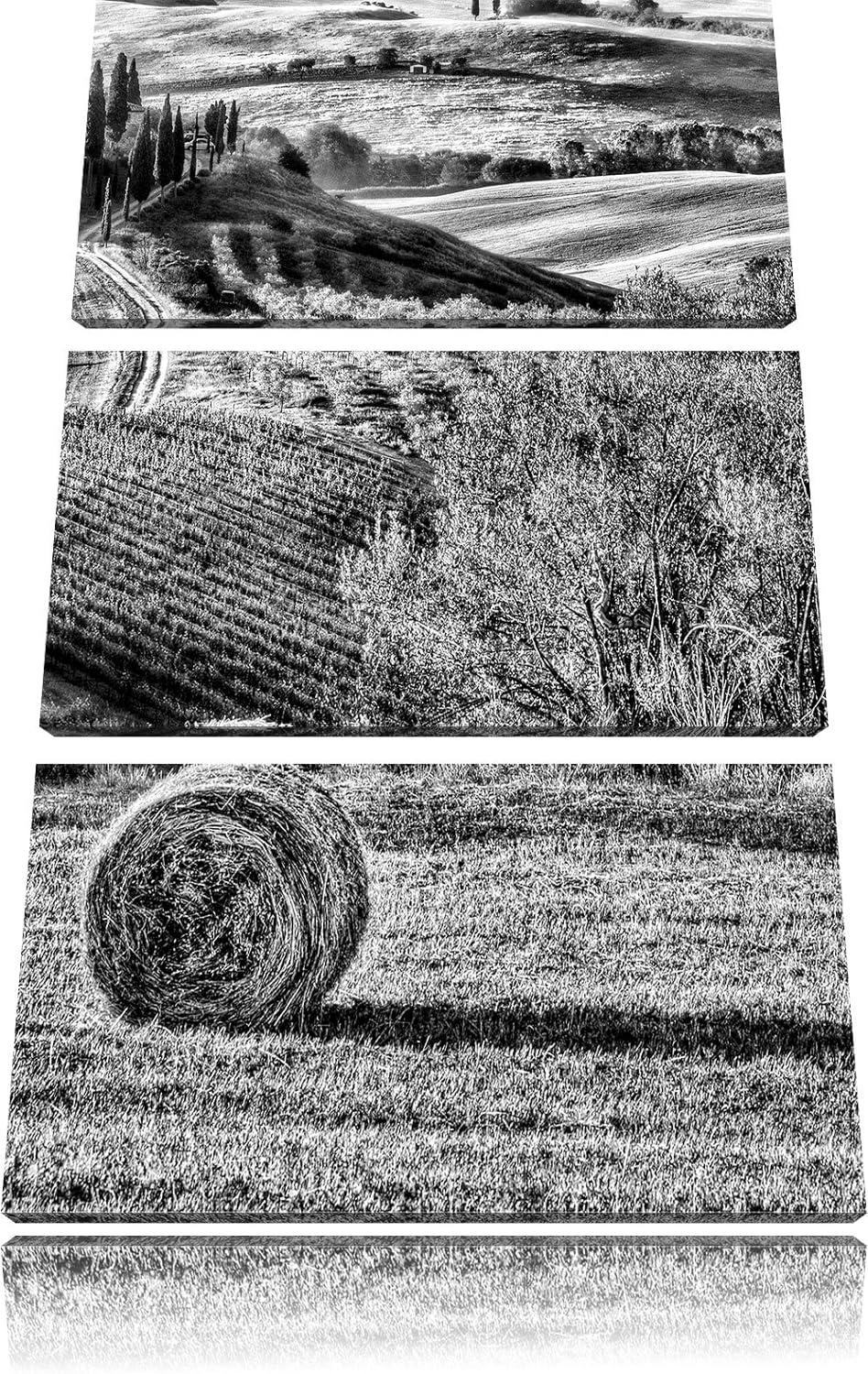 Pixxprint Monocrome, Italienische Toskana Landschaft 3-Teiler Leinwandbild 120x80 Bild auf Leinwand