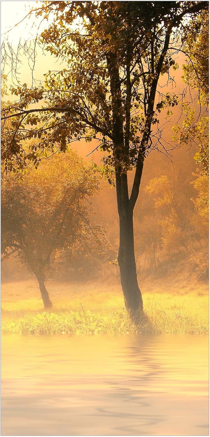 Bilderwelten Raumteiler Herbstmorgen 250x120cm ohne Halterung, ohne Halterung