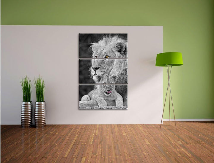 Pixxprint Löwe kuschelt mit Jungtier als Leinwandbild/Grösse: 3 Teilig (120x80) cm/Wandbild/Kunstdru