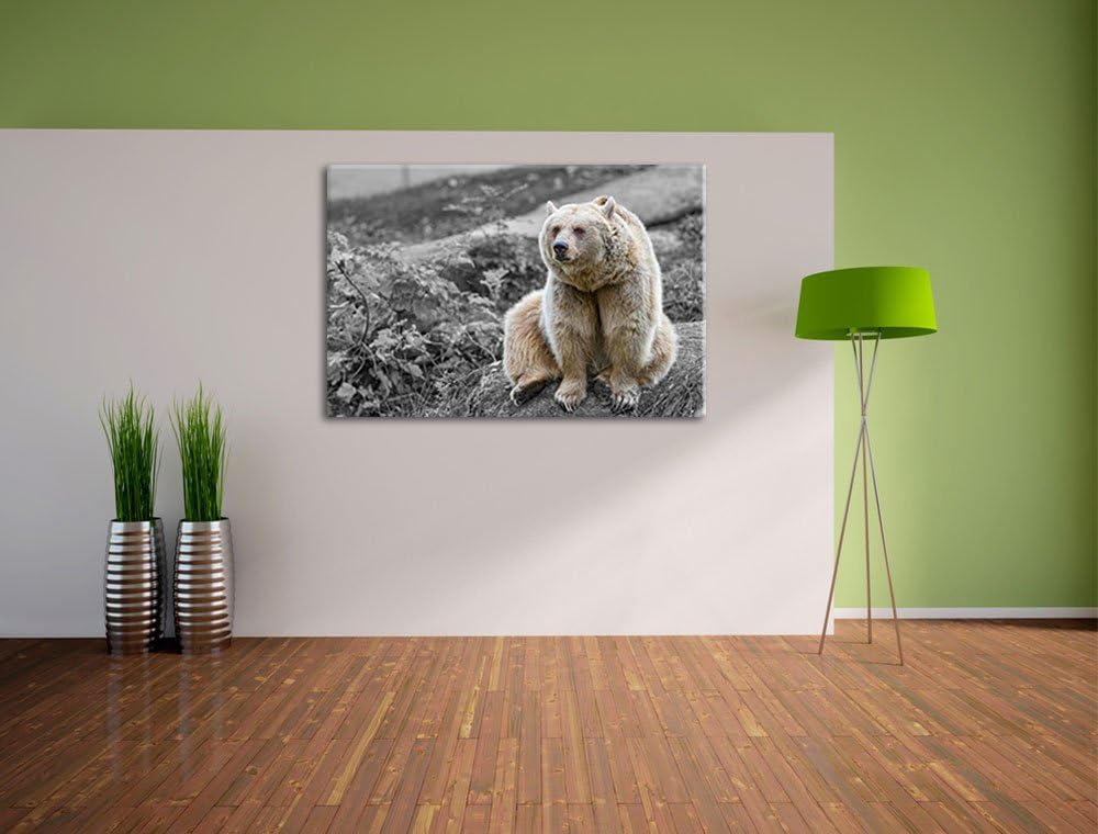 niedlicher Grizzly auf Stein schwarz/weiss auf Leinwand, XXL riesige Bilder fertig gerahmt mit Keilr