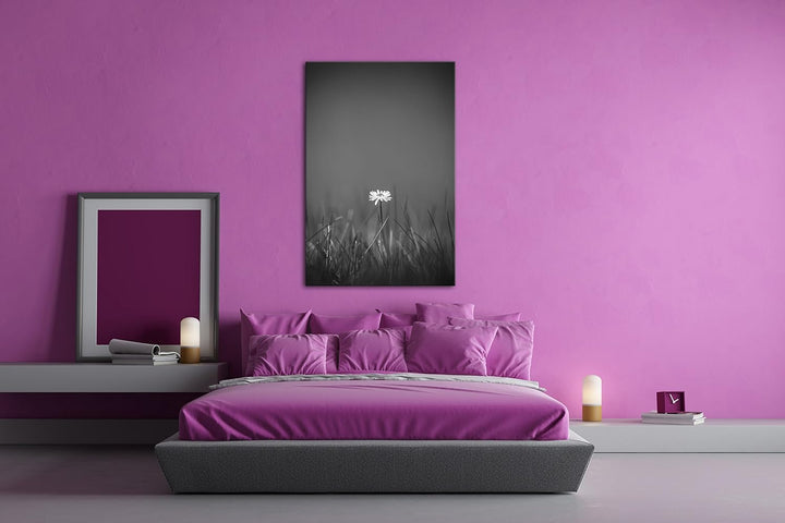 deyoli einzelnes Gänseblümchen Effekt: Schwarz/Weiss Format: 80x60 als Leinwandbild, Motiv fertig ge