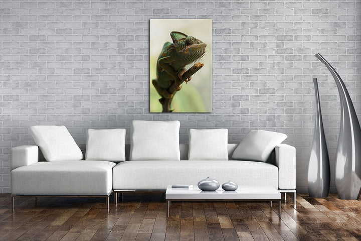 deyoli exotisches Chamäleon im Format: 80x60 als Leinwandbild, Motiv fertig gerahmt auf Echtholzrahm