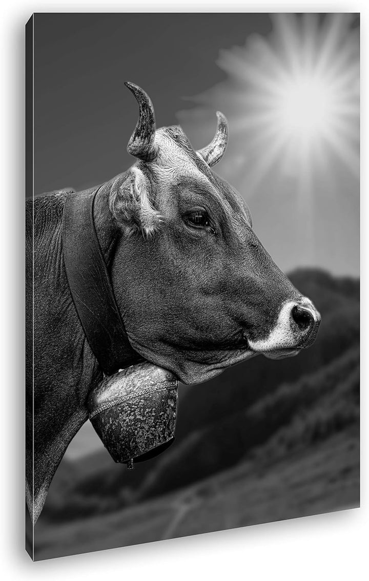 deyoli edle Alpen Kuh Format: 60x40 Effekt: Schwarz&Weiss als Leinwandbild, Motiv fertig gerahmt auf