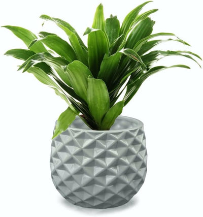 KOTARBAU® 2er Set Keramik-Blumentopf Übertopf Ø 13 cm für Blumen Pflanzen Grau, Grau