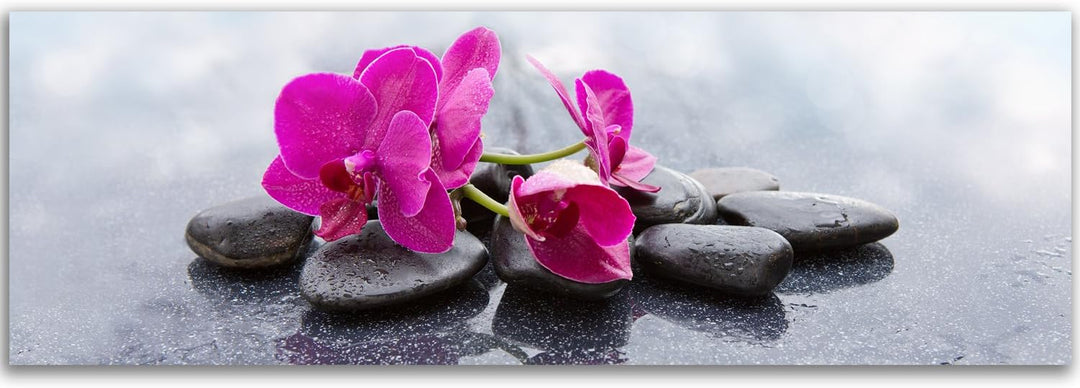 Feeby. Leinwandbild, Bilder, Wand Bild, Wandbilder, Kunstdruck 100x40 cm, ORCHIDEE, ZEN, ROSA