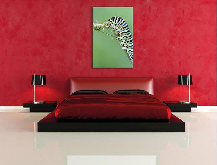 Pixxprint Grüne Raupe auf AST Insekten Urwald Tiere, Format: 100x70 auf Leinwand, 100x70