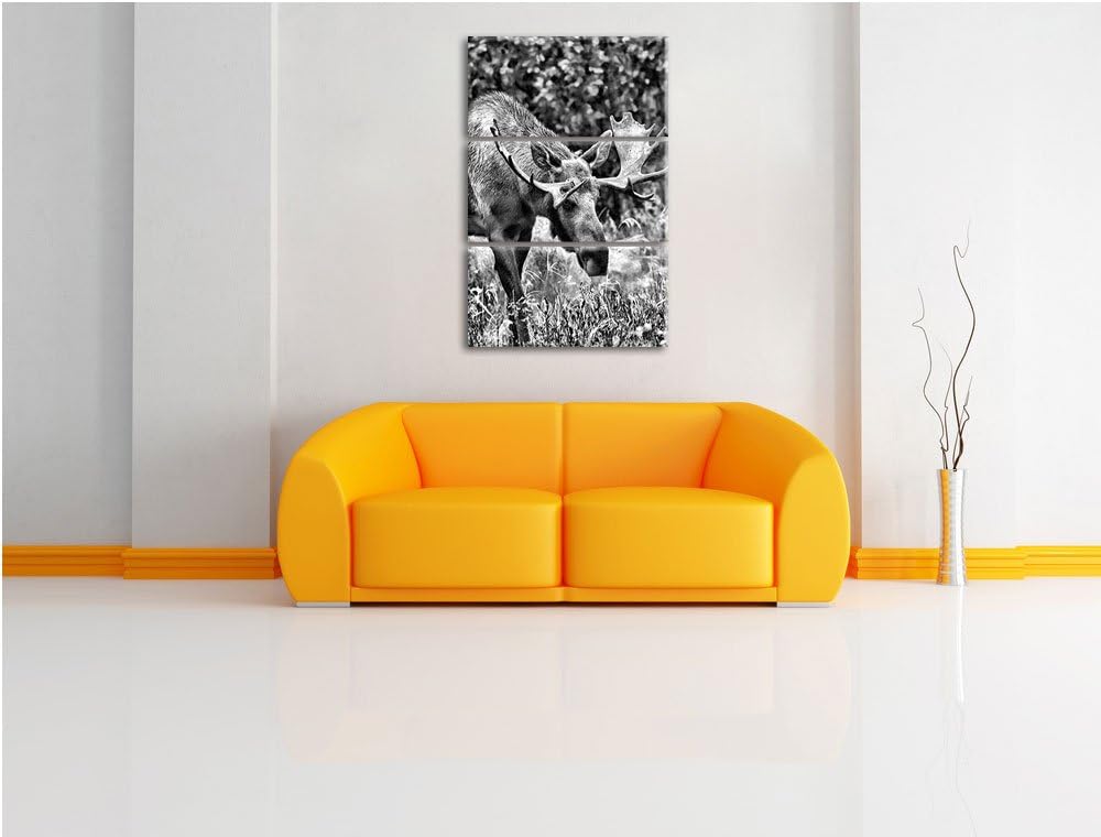 Pixxprint Monocrome, Grosser Elch 3-Teiler Leinwandbild 120x80 Bild auf Leinwand