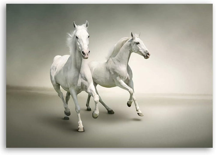 Feeby Vlies Leinwandbild Hengst Laufen Stute Pferde 90x60 cm Druckbild Wandbild Wanddekoration Deko