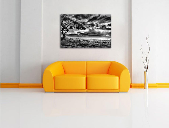 Pixxprint Einsamer Baum schwarz weiss als Leinwandbild/Grösse: 100x70 / Wandbild/Kunstdruck/fertig b