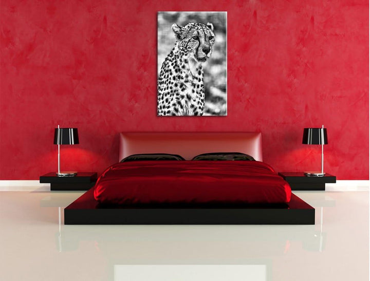 Pixxprint Monocrome, ausgewachsener Gepard, Format: 100x70 auf Leinwand, 100x70