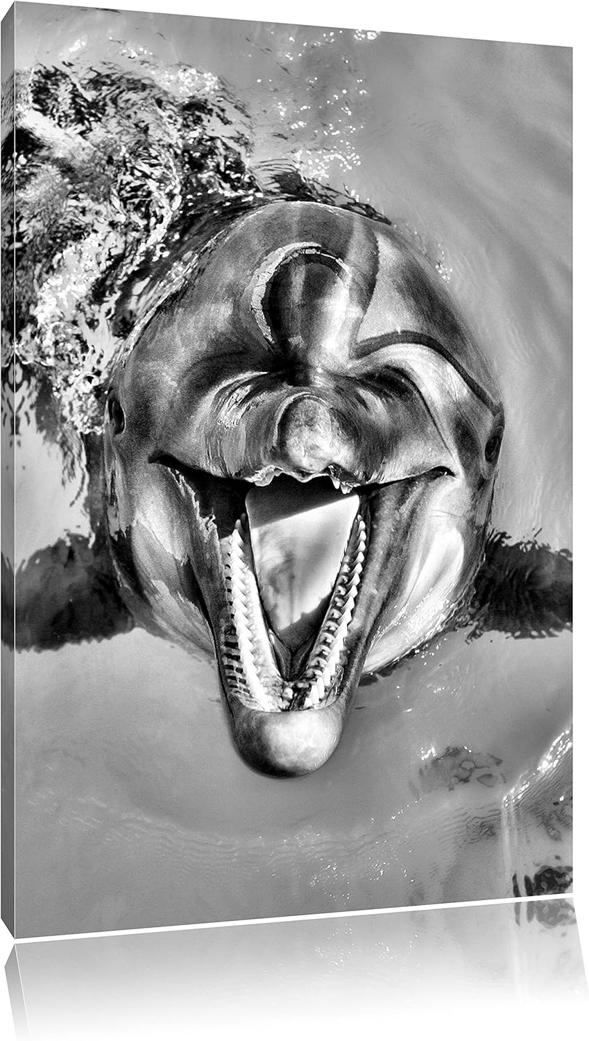 Monocrome, Delfin lacht , Format: 100x70 auf Leinwand, XXL riesige Bilder fertig gerahmt mit Keilrah