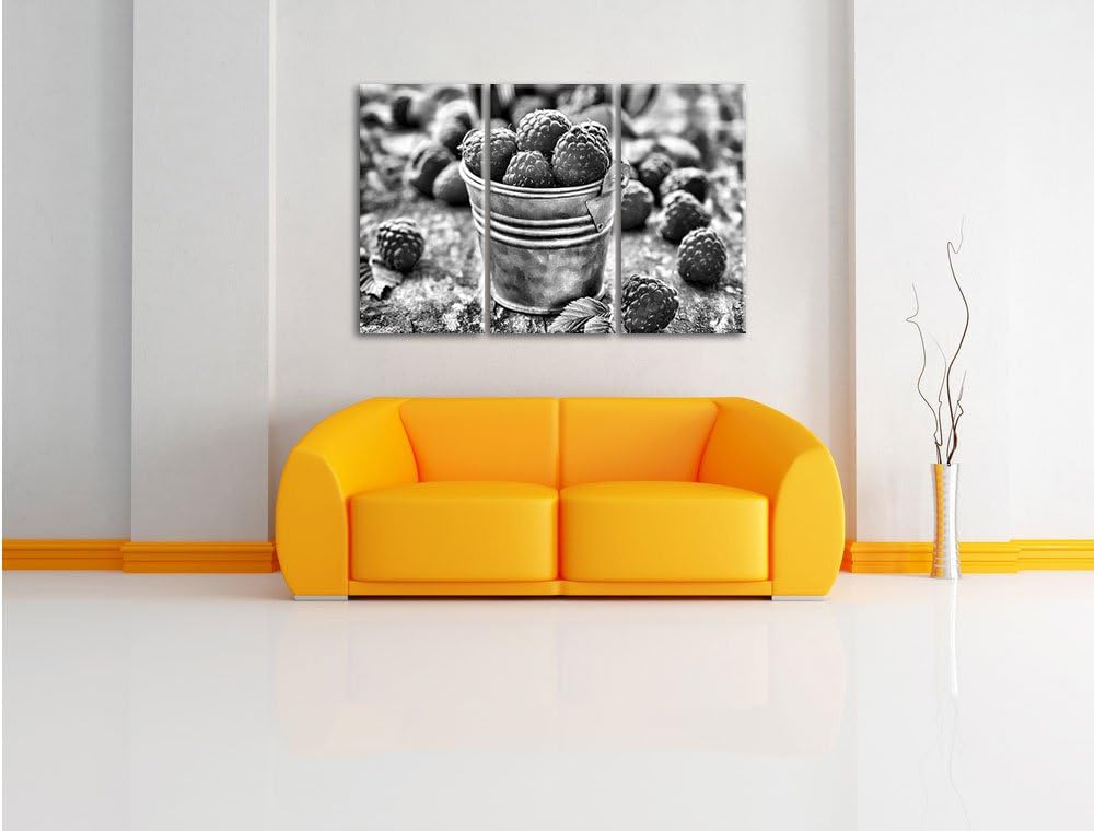 Pixxprint Monocrome, Früchte Eimer Obst Fruit Food 3-Teiler Leinwandbild 120x80 Bild auf Leinwand