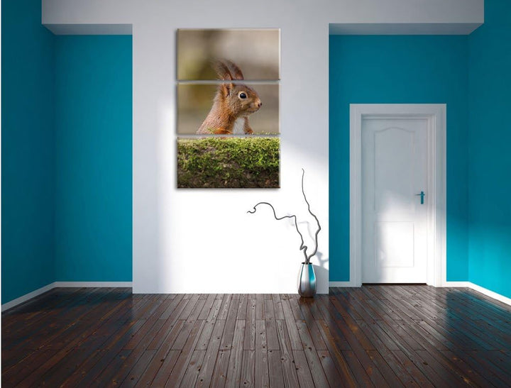 Pixxprint Eichhörnchen hinter Baumstamm als Leinwandbild/Grösse: 3 Teilig (120x80) cm/Wandbild/Kunst