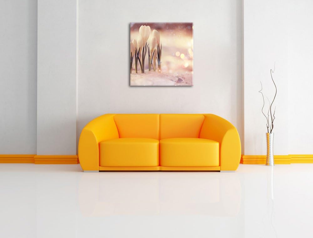 Pixxprint Schneeglöckchen im Frühjahr als Leinwandbild Quadratisch/Grösse: 70x70 / Wandbild/Kunstdru