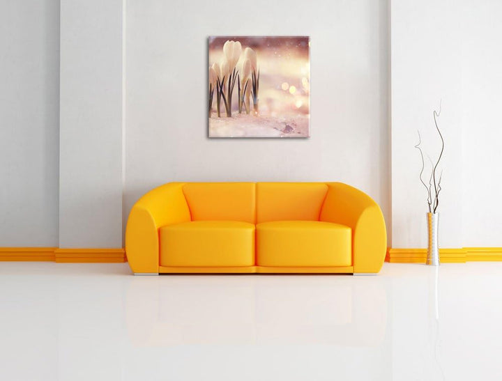 Pixxprint Schneeglöckchen im Frühjahr als Leinwandbild Quadratisch/Grösse: 70x70 / Wandbild/Kunstdru