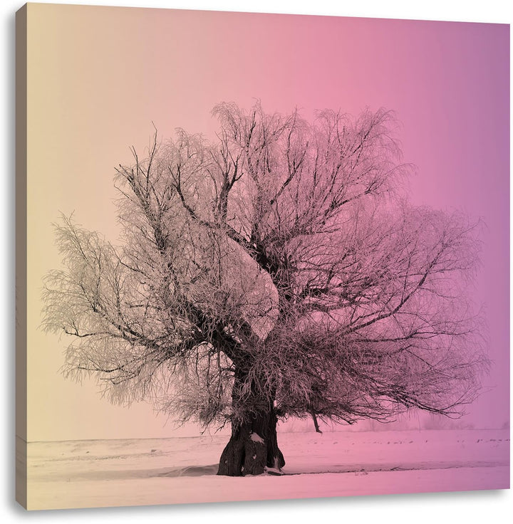 Pixxprint verschneite Bäume im Nebel/Format: 70x70cm / Leinwandbild fertig bespannt Wandbild Kunstdr